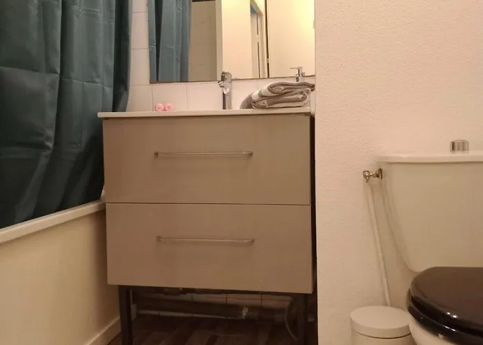 Rangueil - Confortable Proche Hopital Et Universite, Parking Daire Toulouse